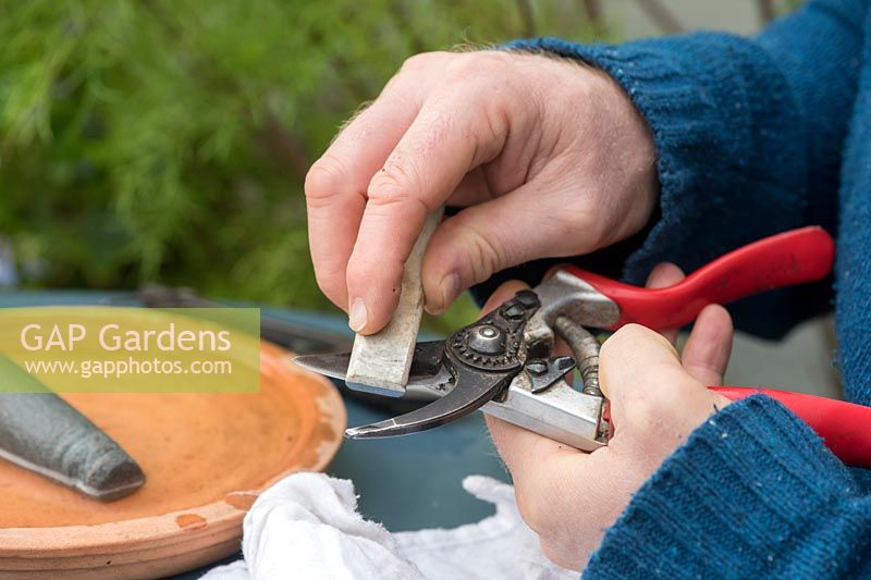 Gardener sharpening secateurs - Oxfordshire - August