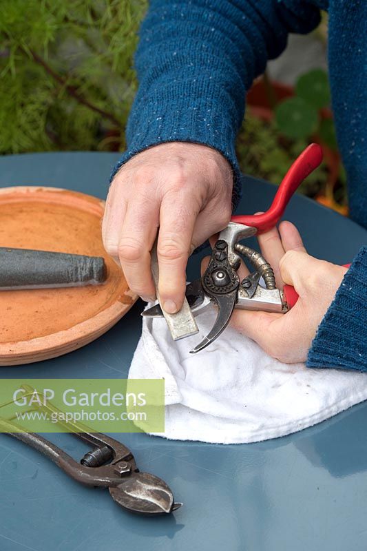 Gardener sharpening secateurs - Oxfordshire - August