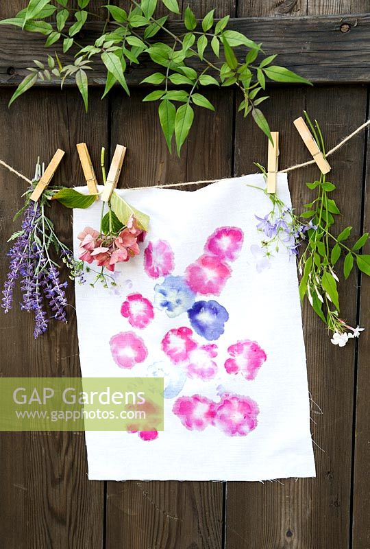 Printing onto fabric with fresh flowers. Finished printed fabric hanging up with summer flowers