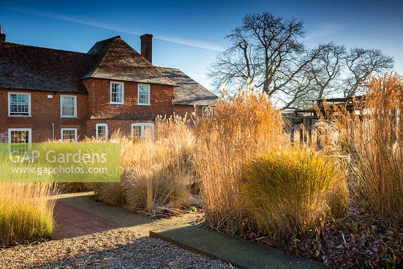 Grasses in winter at Bury Court Gardens, Hampshire, UK. Designed by Christopher Bradley-Hole.