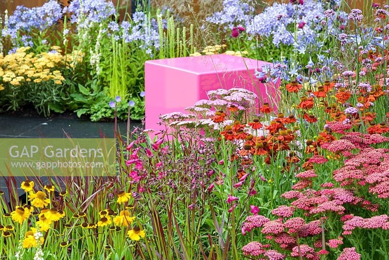 Decorative pink cubed seating and colourful borders with Helenium 'Moerheim Beauty', Penstemon 'Garnet', Agapanthus 'Blue Triumphator', Verbena bonariensis and Imperata cylindrica 'Rubra' - Colour Box garden - RHS Hampton Court Palace Flower Show 2017 - Designers: Charlie Bloom and Simon Webster.