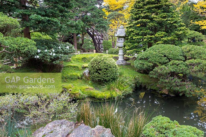 View across the water to a substantial stone lantern representing the five elements of Buddhism and to the Drum Bridge in the distance. Topiaried pines, azaleas and other evergreens and large rocks in the foreground. Japanese Tea Garden at Golden Gate Park, San Francisco, California.