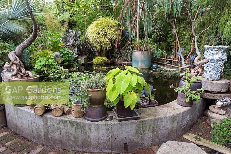 Pond area, with raised concrete retaining walls, and various grasses, palms and trees overhanging. Sculptor and ceramicist Marcia Donahue's garden in Berkeley, California.