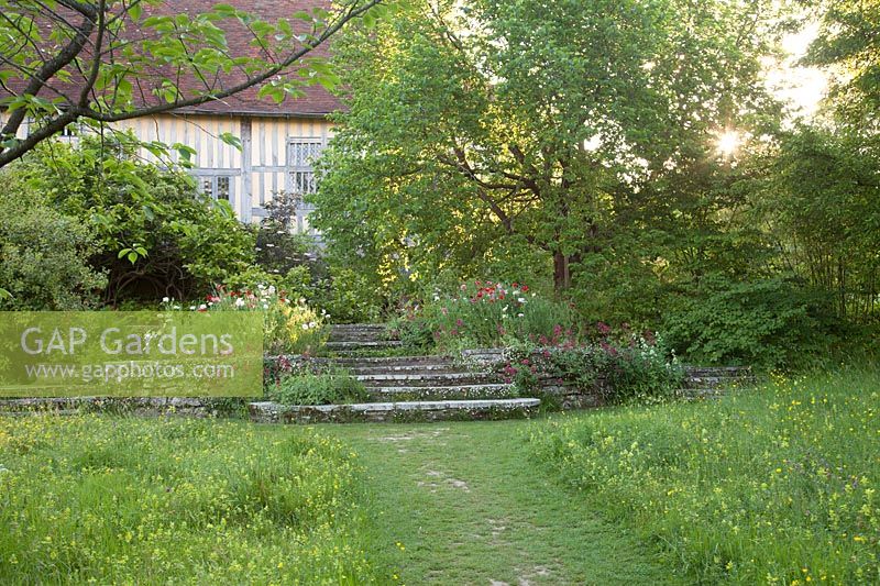 Path through wildflower meadow to stone steps in spring. Great Dixter, Sussex