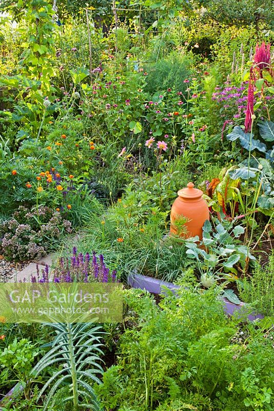 Mixed summer borders of vegetables, herbs and flowers: carrots, salvia, kohlrabi, chives, marigolds, oregano, zinnia, Euphorbia lathyris - Caper Spurge.