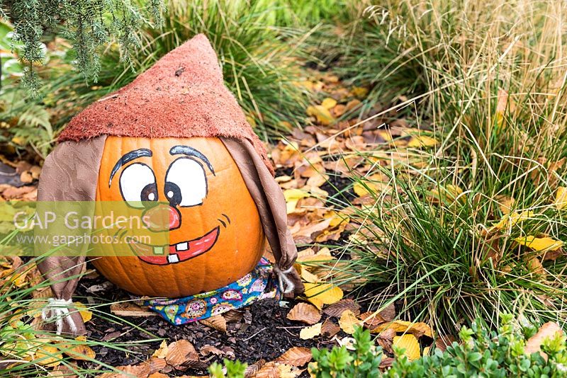 Halloween decorated pumpkins. Germany, autumn