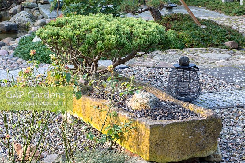 Detail of a Japanese garden with a granite trough containing a dwarf pine. The ground is covered with gravel, paths are made of granite stones or cobbles. A metal lamp is another Asian element