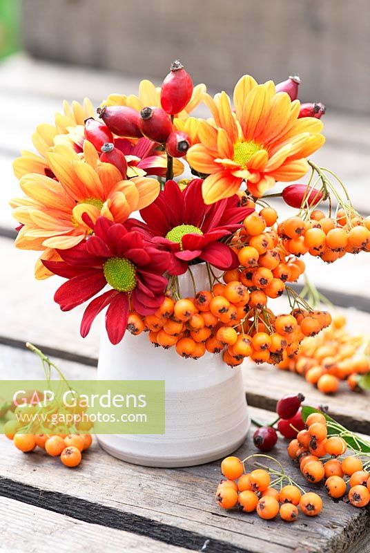 Autumnal display with Chrysanthemums in reds, yellows and oranges, rosehips and orange Pyracantha berries.
