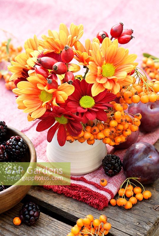 Autumnal display with Chrysanthemums in reds, yellows and oranges, rosehips and orange Pyracantha berries on a table with plums and blackberries