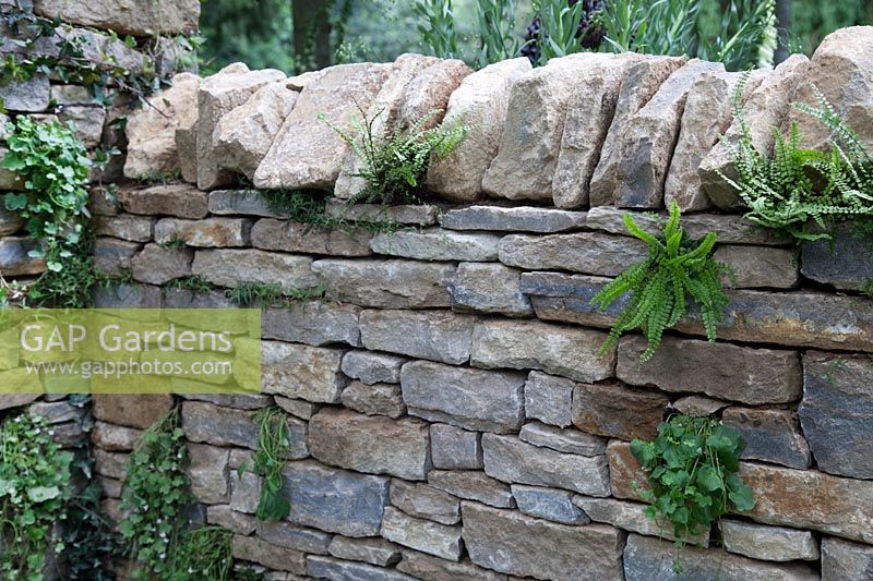 The Poetry Lovers Garden - view of dry stone wall -RHS Chelsea Flower Show 2017