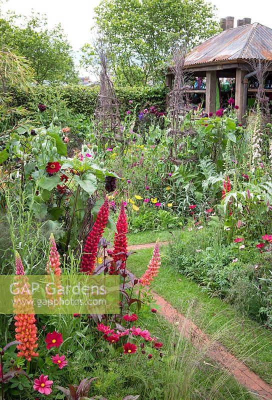 The Anneka Rice Colour Cutting Garden, brick path and shed with beds divided into colour palette - RHS Chelsea Flower Show 2017