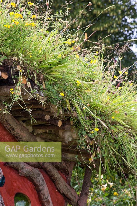 Botanica World Discoveries Garden - The living roof of the hut where the author, A. A. Milne, wrote his Winnie the Pooh books - Hampton Court Flower Show 2015