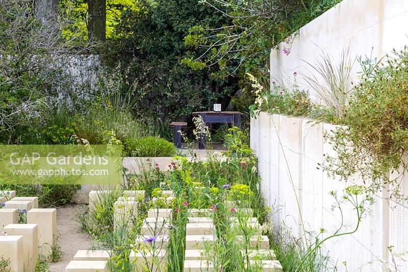 The M and G Garden - Garden created from  disused limestone quarry with flora from Malta - RHS Chelsea Flower Show 2017 