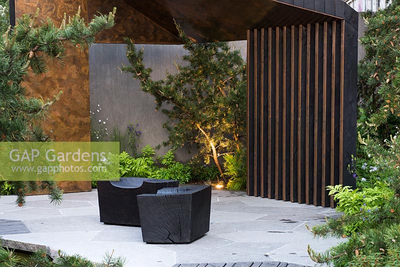 Patio with block wooden chairs surrounded by Pinus banksiana  Jack pine and Onoclea sensibilis - Sensitive fern AGM - The Royal Bank of Canada Garden - RHS Chelsea Flower Show 2017 - Designer: Charlotte Harris - Sponsor: RBC