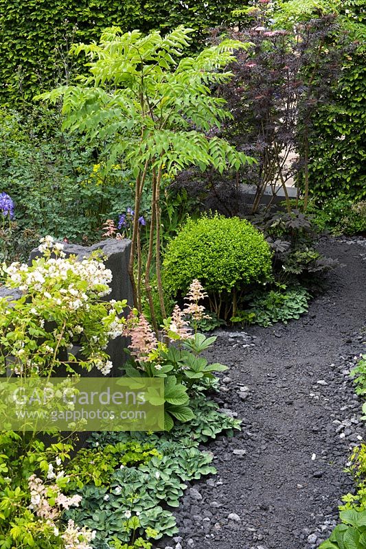 View of dark concrete path - The Linklaters Garden for Maggie's - RHS Chelsea Flower Show 2017 - Designer: Darren Hawkes