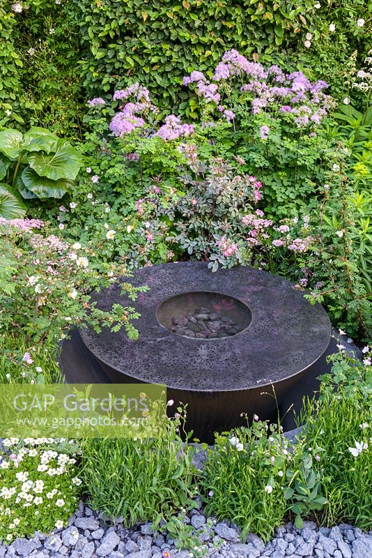 Round water feature made of black basalt concrete amongst planting of Rosa glauca, Rosa sericea subsp. omeiensis f. pteracantha, Chaerophyllum hirsutum 'Roseum' and Thalictrum in crushed concrete gravel - The Linklaters Garden for Maggie's - RHS Chelsea Flower Show 2017 - Designer: Darren Hawkes - Gold