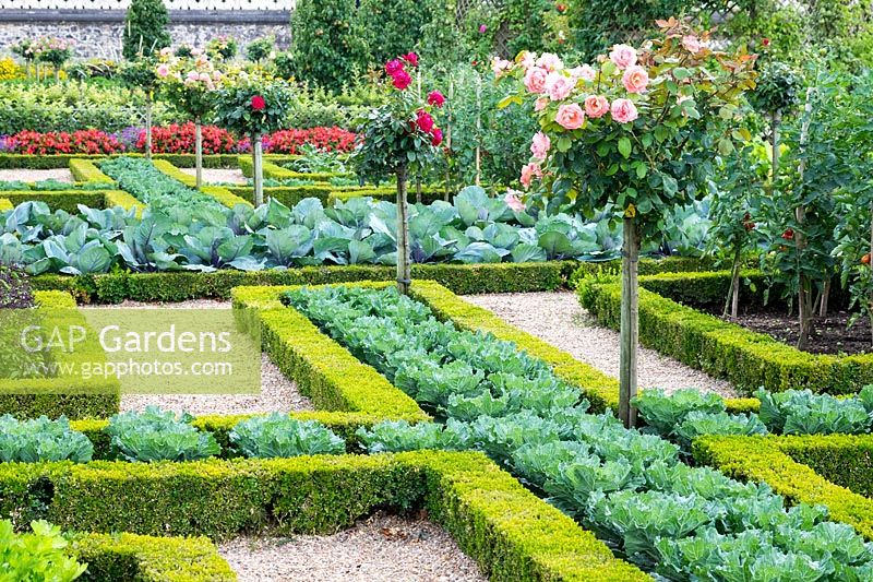 Vegetable knot garden and parterre - Chateau Villandry, Loire Valley, France