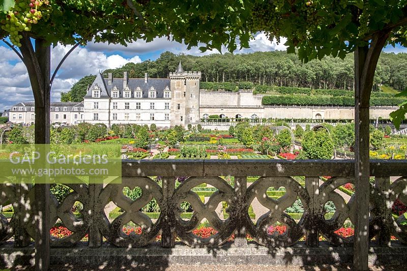 Overlooking the vegetable knot garden and parterre - Chateau Villandry, Loire Valley, France
