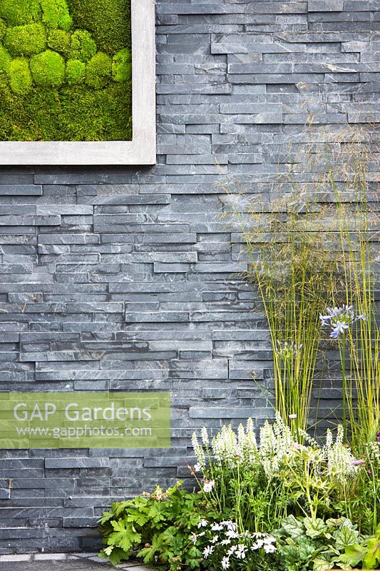 Modern black slate stone wall with living picture made with moss and summer border with white sages Salvia sylvestris 'Schneehugel' and Molinia grass. Contemporary Bee and Butterfly Garden -BBC Gardeners World Live Flower Show 2017