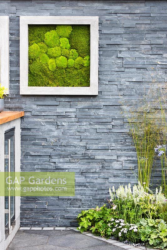 Modern black slate stone wall with living picture made with moss and border with white sages Salvia sylvestris 'Schneehugel' and Molinia grass in the outdoor kitchen. Contemporary Bee and Butterfly Garden - BBC Gardeners World Live Flower Show 2017