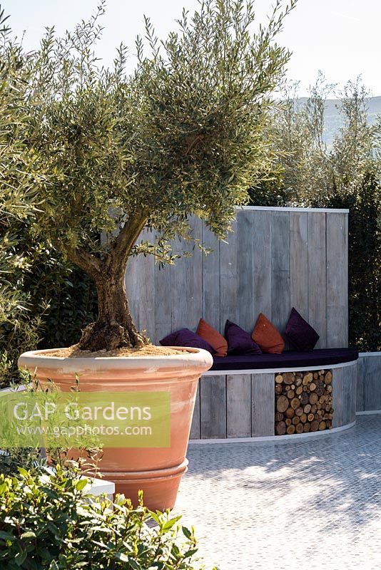 Outdoor seating area with olive trees in large terracotta planters - The Retreat, RHS Malvern Spring Festival 2017