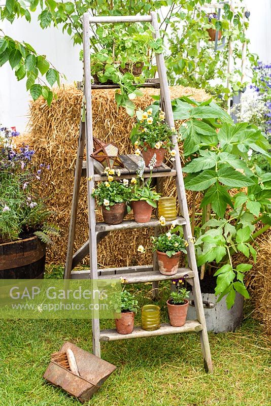 A ladder with plats in small clay pots in front of straw bale - Stands at RHS Malvern Spring Festival 2017