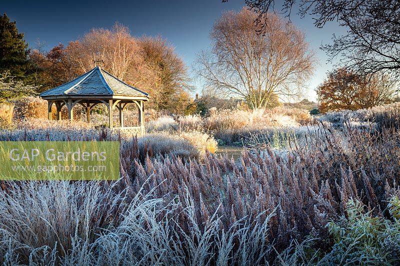 Grasses and perennials including Astilbe chinensis var. taqetii 'purpurlanze' and Molinia caerulea 'edith dudszus' The Milennium Garden at Pensthorpe in Norfolk in Winter designed by Piet Oudolf.