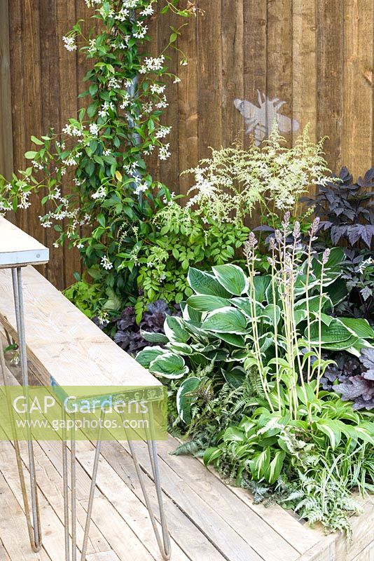 Wooden table and benches with planting of Astilbe and Hosta fortunei 'Albomarginata' in BBC Gardener's World Live, Birmingham 2017 - Living Gardens 'Its Not Just About The Beardâ€¦' Garden - Designer : Peter Cowell and Monty Richardson