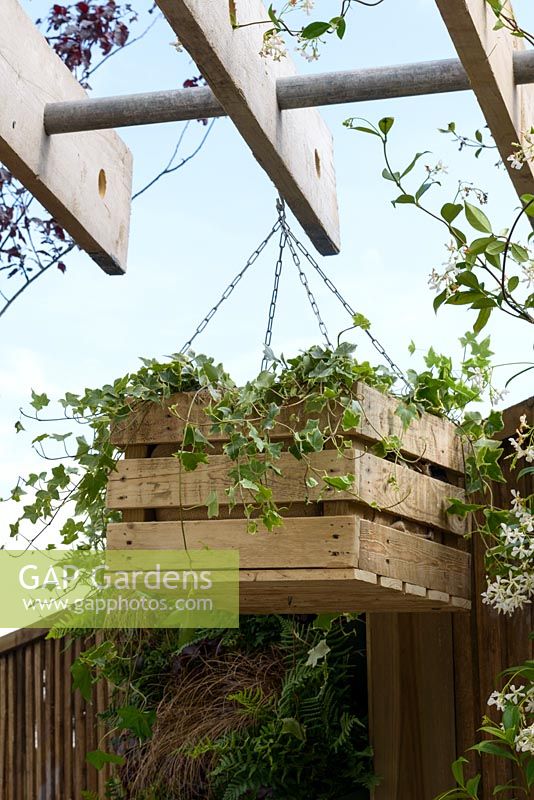 Pergola with hanging box with climber - BBC Gardener's World Live, Birmingham 2017 -Living Gardens 'Its Not Just About The Beard' Garden - Designer : Peter Cowell and Monty Richardson, Living Garden - Gold