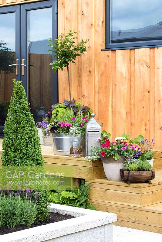 Wooden steps with flower pots leading to the door - BBC Gardener's World Live, Birmingham 2017 -Tesco 'Every Little Helps' Garden designed by Owen Morgan, Mosaic Gardens