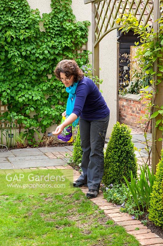 Sowing seed to repair bare patches on lawn, April