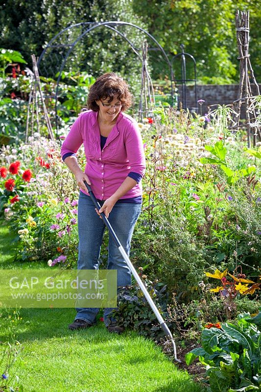 Weeding a border with a hoe, September