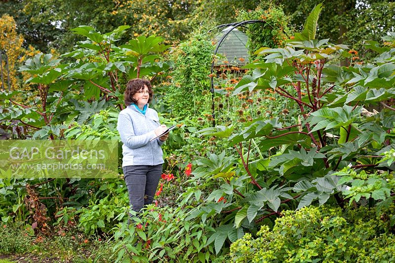 Making notes in an exotic border, October