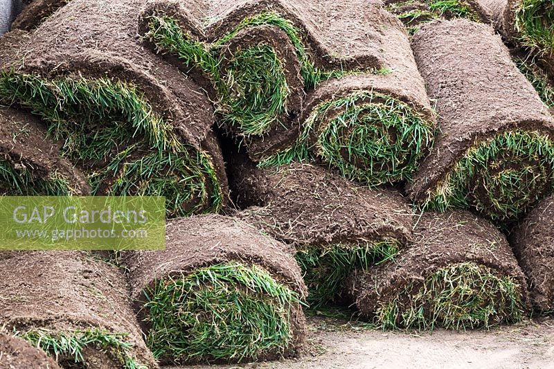 Pile of stacked rolls of freshly cut Poa pratensis - Kentucky bluegrass sod grass in spring, Montreal, Quebec, Canada
