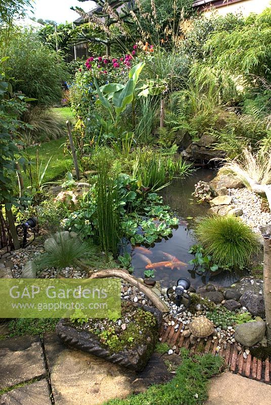 Small pond with exoticâ€‰ planting, April â€‰ 