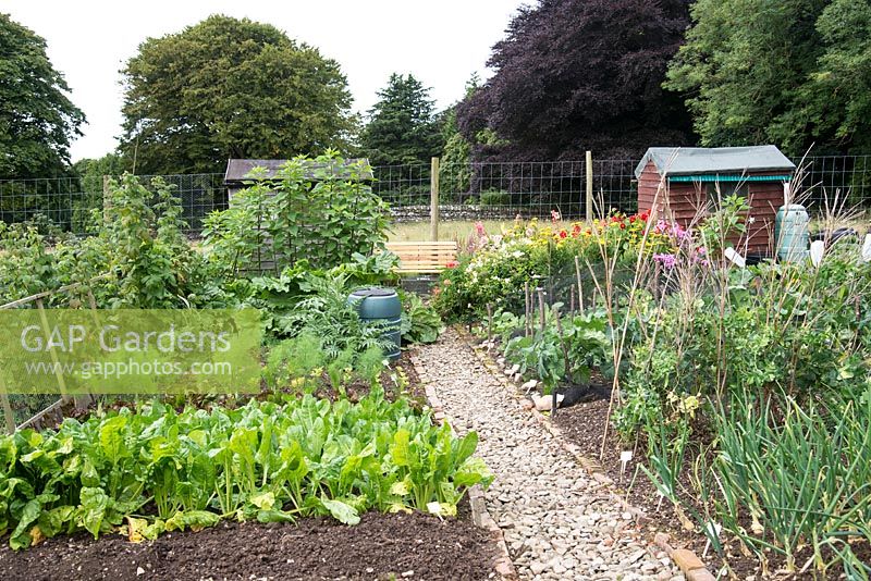 Allotment with vegetable beds