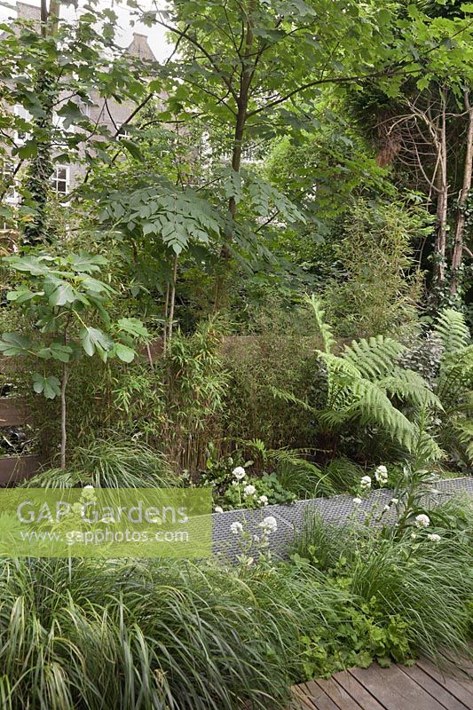 Metal grid peremeable paving in an all green shady garden with bamboos and ferns - June