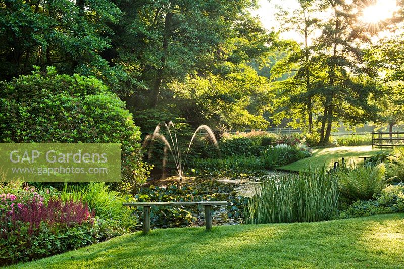 Pond area with herbaceous borders, woods, bench and water feature. Dina Deferme garden, June