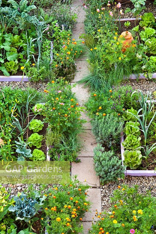 Mixed planting of flowers, vegetables and herbs with a path leading through.