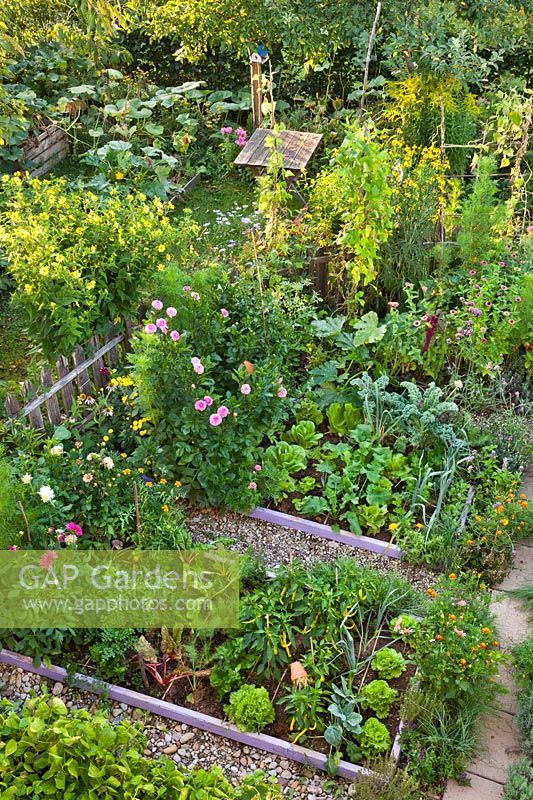 Mixed planting of flowers, vegetables and herbs