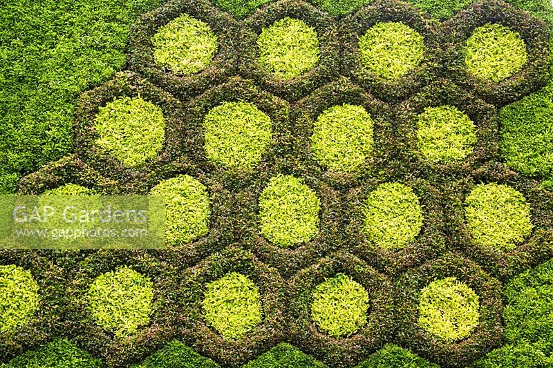 Honeycomb sculpture with Alternanthera plants in summer border, Canada