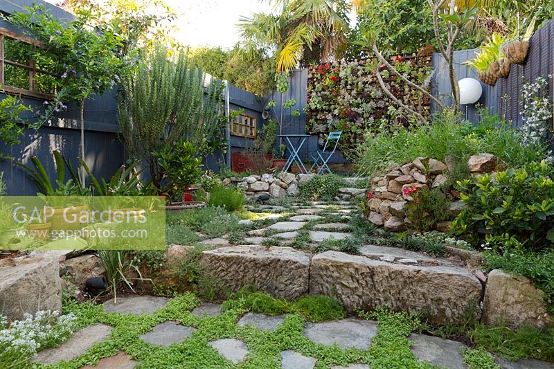 Wide view of inner city courtyard garden with greenwall of succulents, sandstone raised bed, flagged sandstone paving, and various plantings, November.