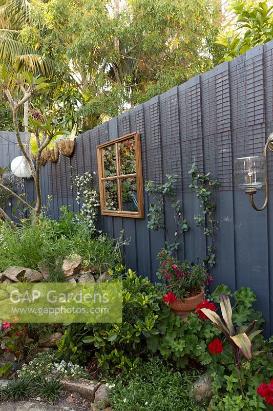 Painted timber fence with window framed mirror, climbing plants, and raised bed of found sandstone. 