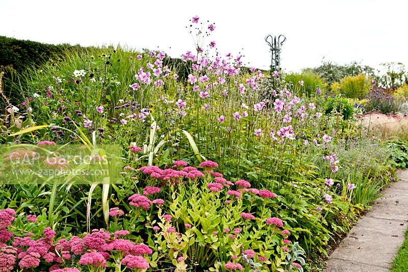 Herbaceous Border in Pleasure Gardens at Ballymaloe Cookery School, Ireland