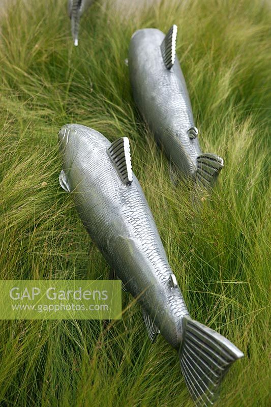 Metal fish in border of Stipa tennuissima, Gaze Burvill stand, RHS Chelsea 2012, May.