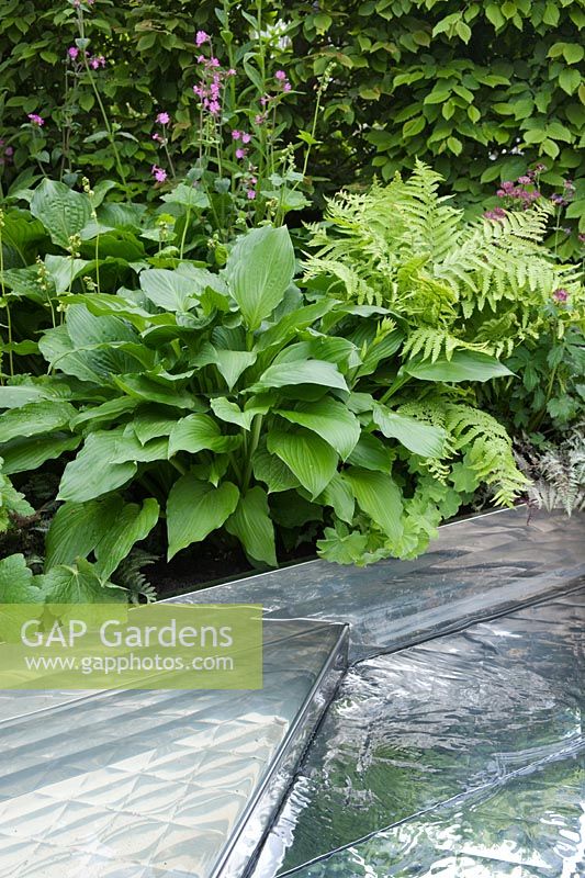 hade planting with Hosta and ferns, A Celebration of Caravanning, RHS Chelsea 2012.