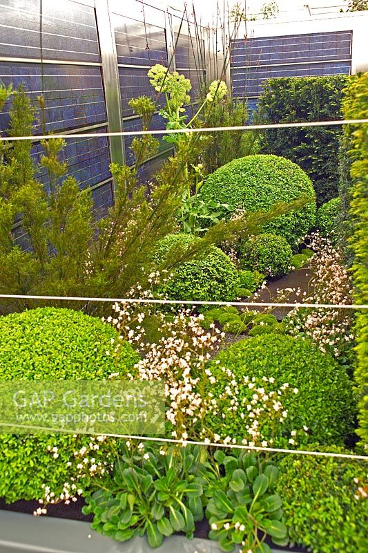 Urban roof garden with solar panels, drought tolerant plants and evergreen topiary. Up on the roof, RHS Chelsea 2006.