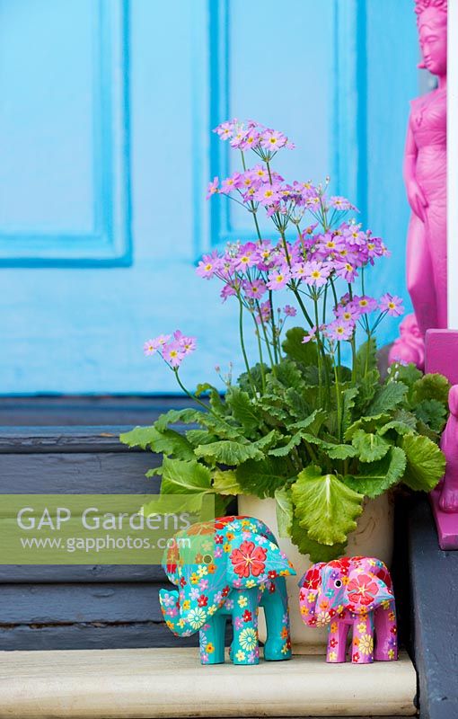 Elephant ornaments with pink flowering Primula malacoides and Indonesian statue of a woman, August.