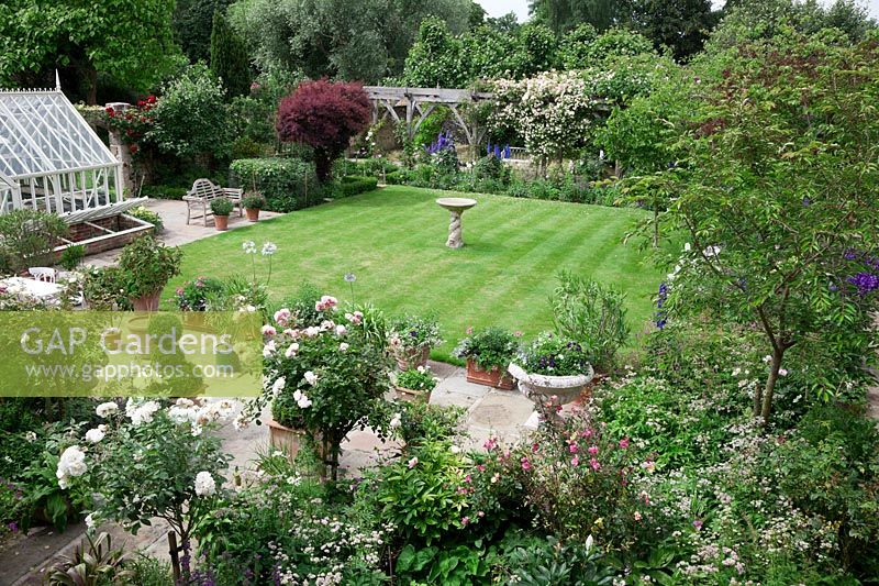 Overview of garden with greenhouse and cold frames, neat stripy lawn, paved terrace with pots and Lutyens bench, oak pergola. Planting includes Cotinus coggyria, Rosa 'Dublin Bay' ,Rosa 'Crocus', Rosa 'Iceberg', Rosa 'Phyllis Bide', Rosa 'Long John Silver'