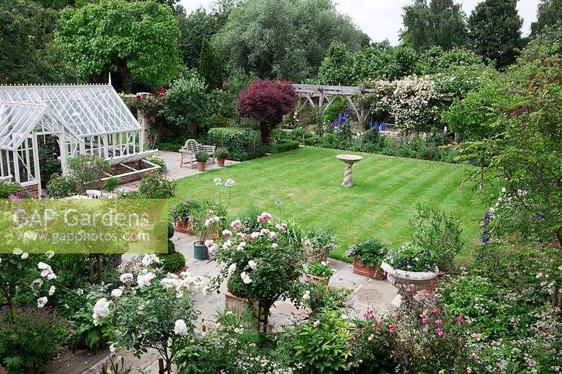 Overview of garden with greenhouse and cold frames, neat stripy lawn, paved terrace with pots and Lutyens bench, oak pergola. Planting includes Cotinus coggyria, Rosa 'Dublin Bay' ,Rosa 'Crocus', Rosa 'Iceberg', Rosa 'Phyllis Bide', Rosa 'Long John Silver' .